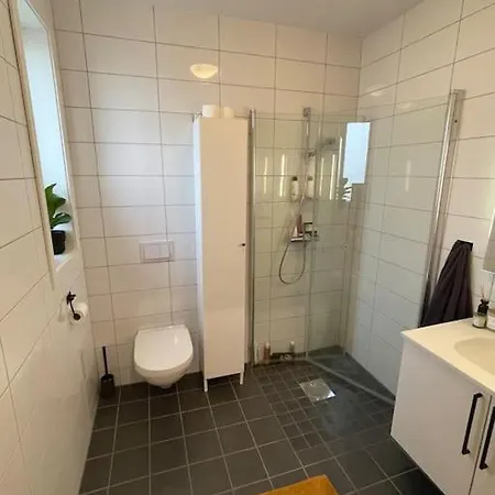 Til Ski-vm * Trondheim